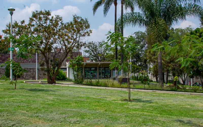 acervo atracciones en el mejor residencial de guadalajara sobre calzada federalismo (2)
